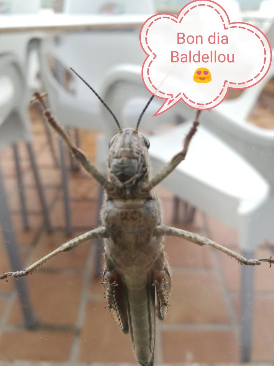 Casa Albano Vandrehjem Baldellou Eksteriør billede